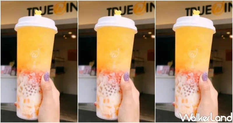 初韻 雙11優惠 / WalkerLand窩客島整理提供 未經許可，不得轉載