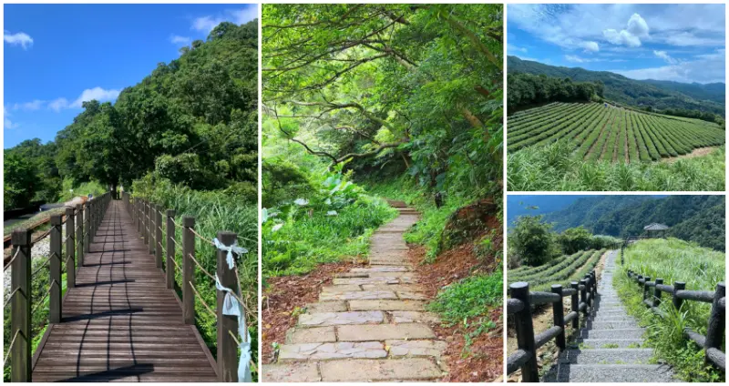 新手也能輕鬆駕馭！步道控必訪9條「新北入門級步道」全蒐羅，新北最好走「坪林茶園步道」、烏來秘境「觀瀑步道」，走一次就愛上登山滋味。