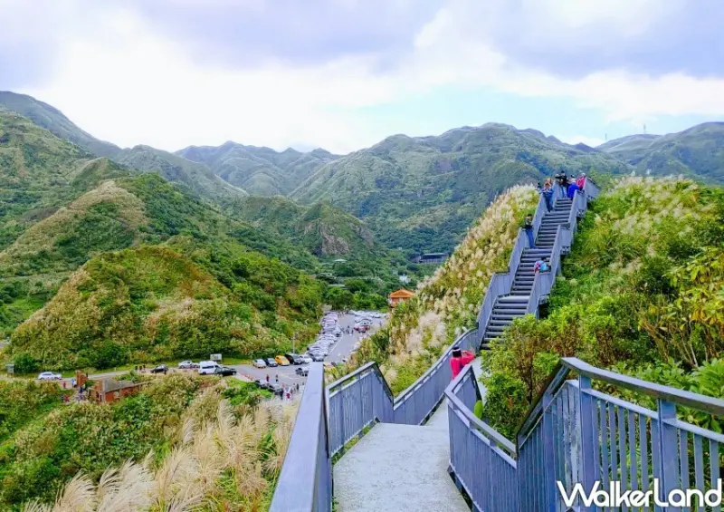 瑞芳九份芒花景點 / WalkerLand窩客島整理提供 未經許可不可轉載