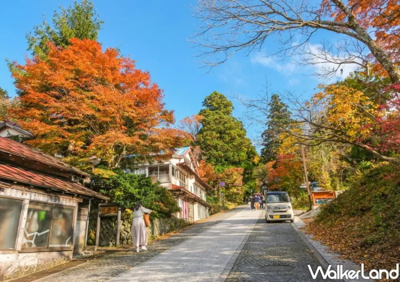 日本旅遊「鳥取境港水產直賣中心」 / WalkerLand窩客島整理提供 未經許可不可轉載