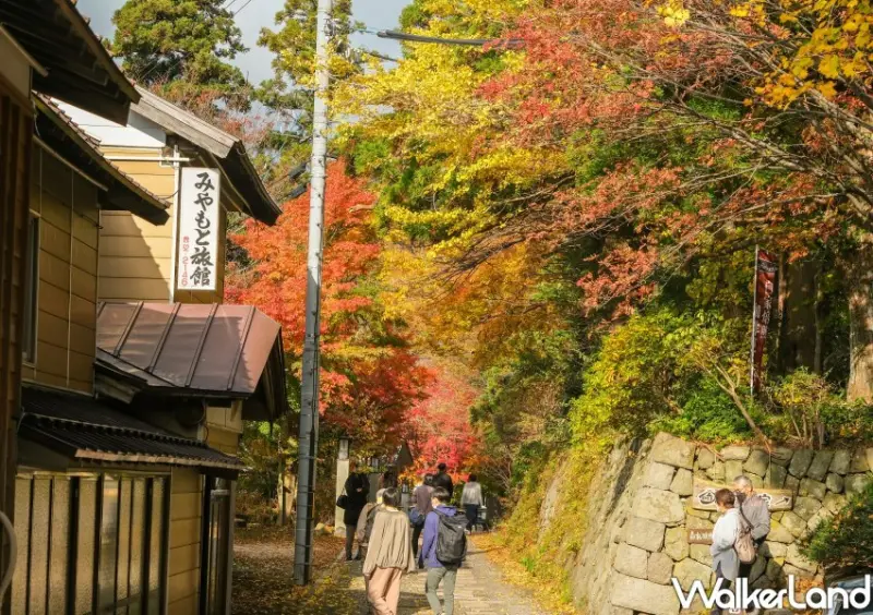 日本旅遊「鳥取⼤山寺賞楓」 / WalkerLand窩客島整理提供 未經許可不可轉載