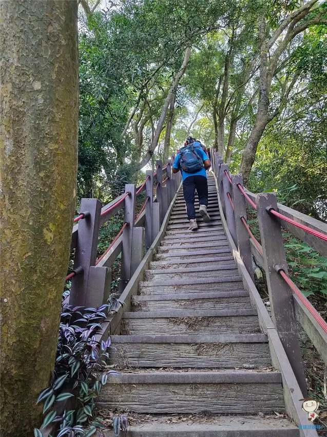  台中自然系景點： 新田步道/ WalkerLand窩客島整理提供 未經許可不可轉載