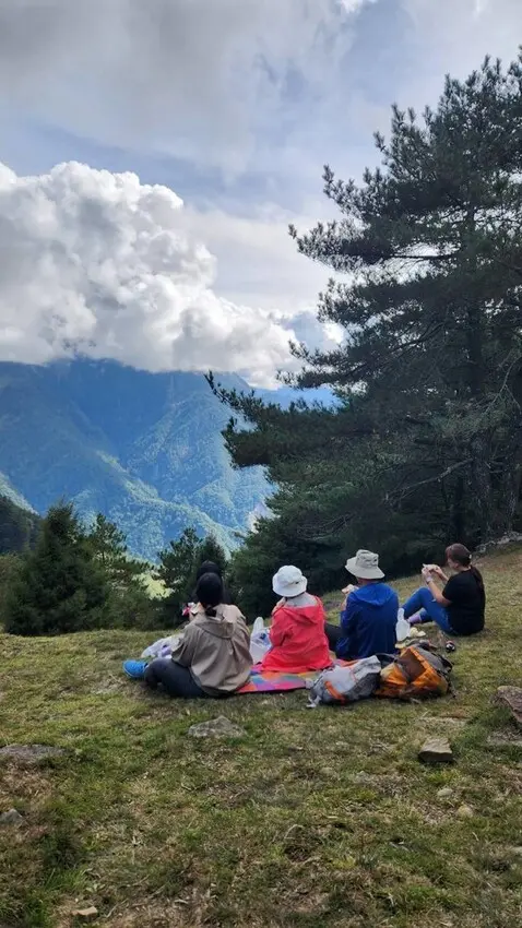 南投自然系景點：塔塔加步道 / WalkerLand窩客島整理提供 未經許可不可轉載