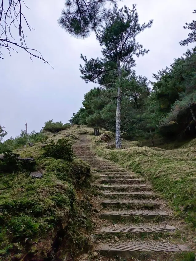  南投自然系景點：塔塔加步道/ WalkerLand窩客島整理提供 未經許可不可轉載