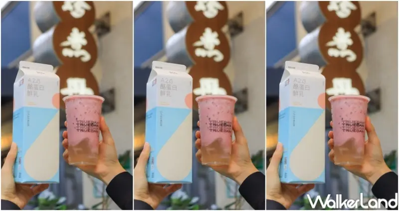 珍煮丹X鮮乳坊 草莓季新品 / WalkerLand窩客島提供 未經許可，不得轉載