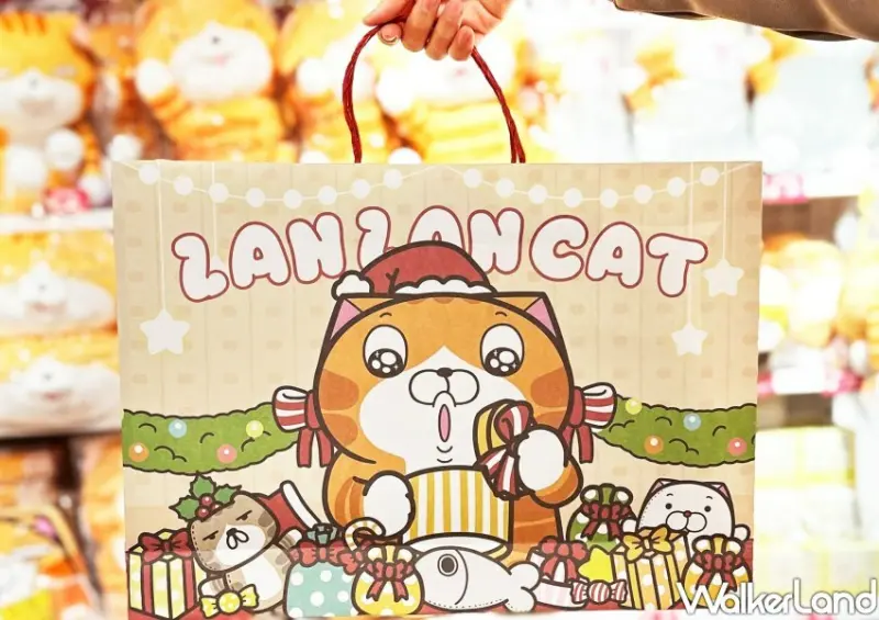 板橋白爛貓、萊恩快閃店 / WalkerLand窩客島整理提供 未經許可不可轉載