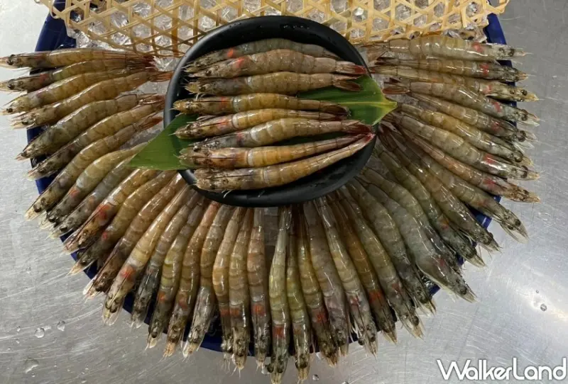 肉多多火鍋 優惠 / WalkerLand窩客島整理提供 未經許可不可轉載