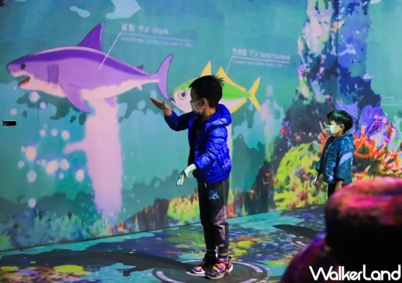 NAKED OCEAN IN TAIPEI 光之影海洋展 / WalkerLand窩客島提供 未經許可，不得轉載