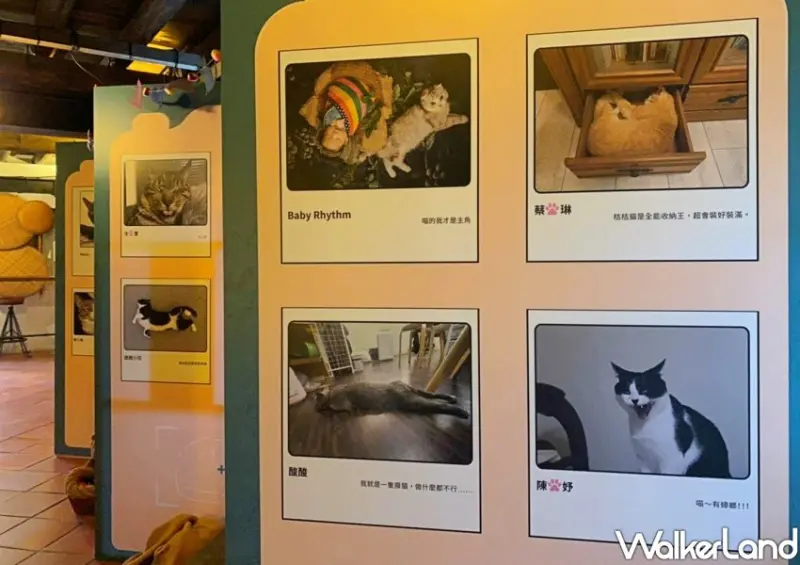 淡水古蹟博物館「光映淡水－喵的光波」 / WalkerLand窩客島整理提供 未經許可不可轉載