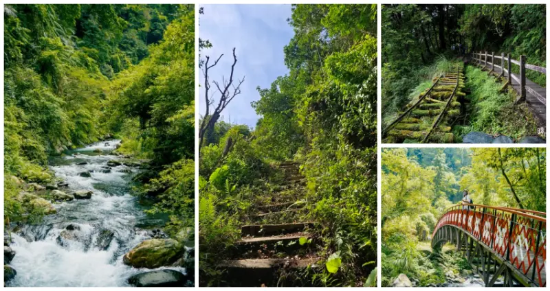 北台灣步道激戰區！步道控激推7條「宜蘭景觀步道」全攻略，全球最美小路「青苔鐵軌步道」、10分鐘攻頂「森林觀瀑步道」，一網打盡宜蘭秘境角落。