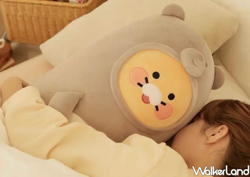 板橋白爛貓、萊恩快閃店 / WalkerLand窩客島整理提供 未經許可不可轉載