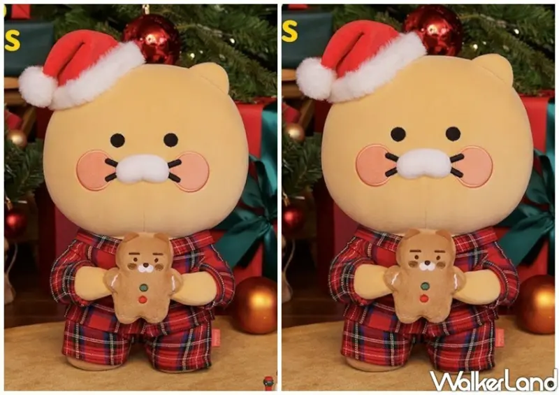 板橋白爛貓、萊恩快閃店 / WalkerLand窩客島整理提供 未經許可不可轉載