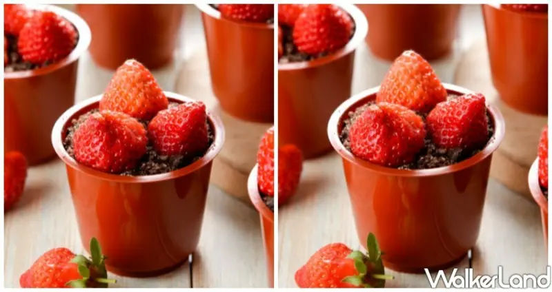 樂天市場「草莓季」 / WalkerLand窩客島整理提供 未經許可不可轉載