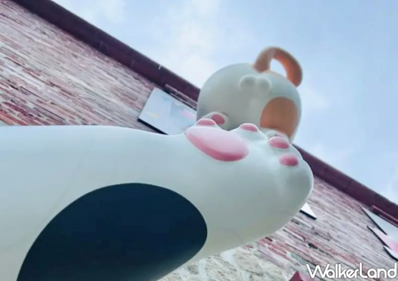 淡水古蹟博物館「光映淡水－喵的光波」 / WalkerLand窩客島整理提供 未經許可不可轉載