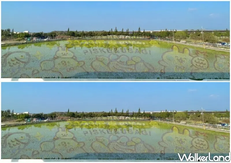 2023屏東熱帶農業博覽會「卡娜赫拉的小動物彩繪稻田」 / WalkerLand窩客島整理提供 未經許可不可轉載