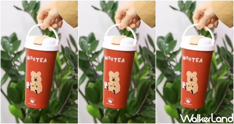 五桐號 X DinoTaeng  / WalkerLand窩客島整理提供 未經許可，不得轉載