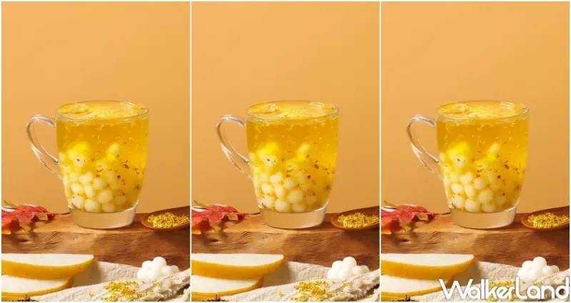 初韻 冬季新品 / WalkerLand窩客島整理提供 未經許可，不得轉載