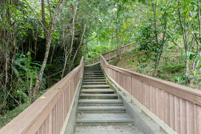  南投自然系景點：貓囒山步道/ WalkerLand窩客島整理提供 未經許可不可轉載