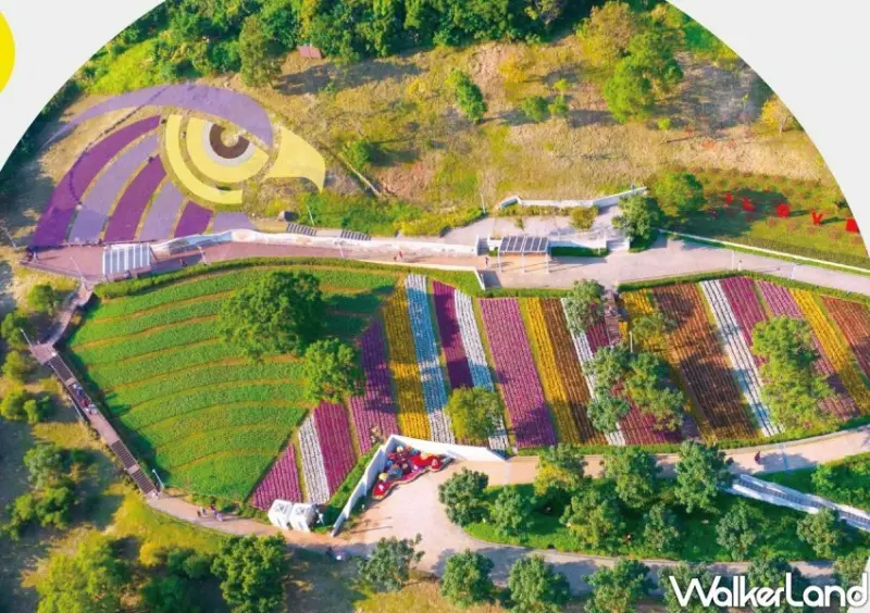 北投「三層崎花海」 / WalkerLand窩客島整理提供 未經許可不可轉載