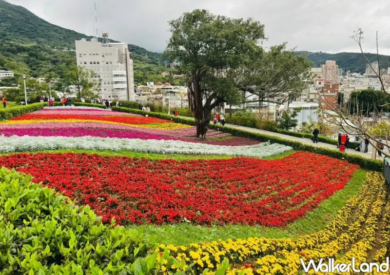 北投「三層崎花海」 / WalkerLand窩客島整理提供 未經許可不可轉載