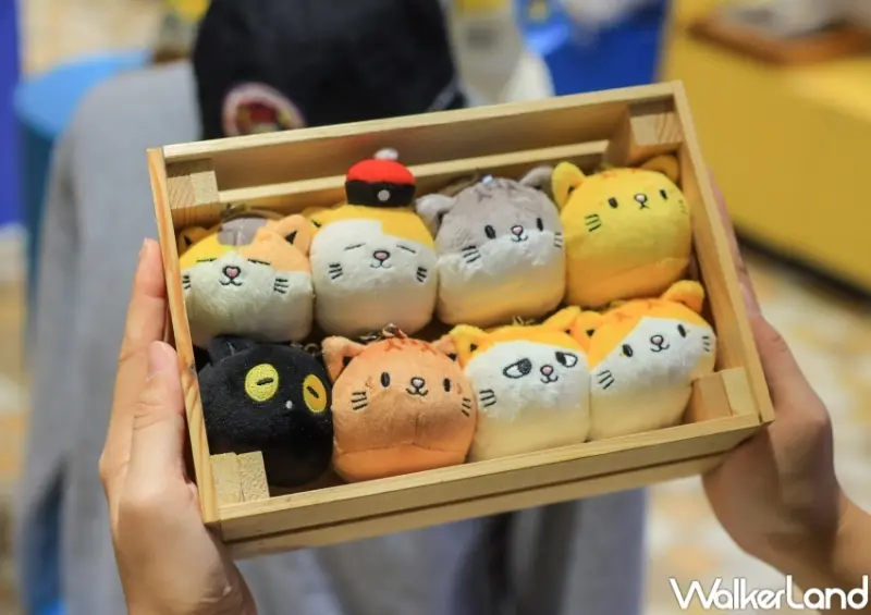 黃阿瑪夢之船快閃店 / WalkerLand窩客島提供 未經許可，不得轉載