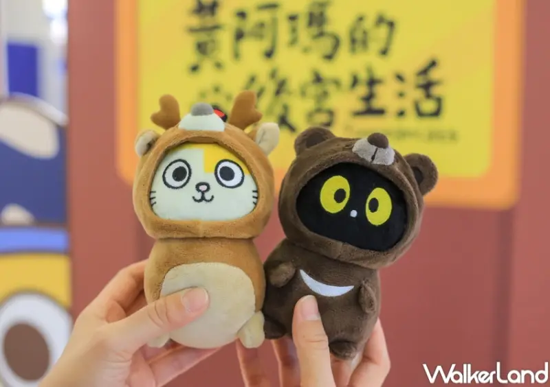 黃阿瑪夢之船快閃店 / WalkerLand窩客島提供 未經許可，不得轉載