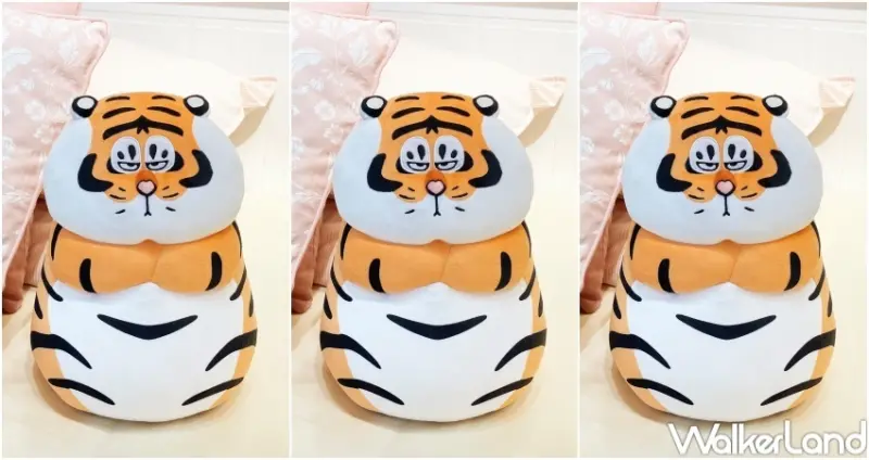 我不是胖虎 / WalkerLand窩客島整理提供 未經許可，不得轉載