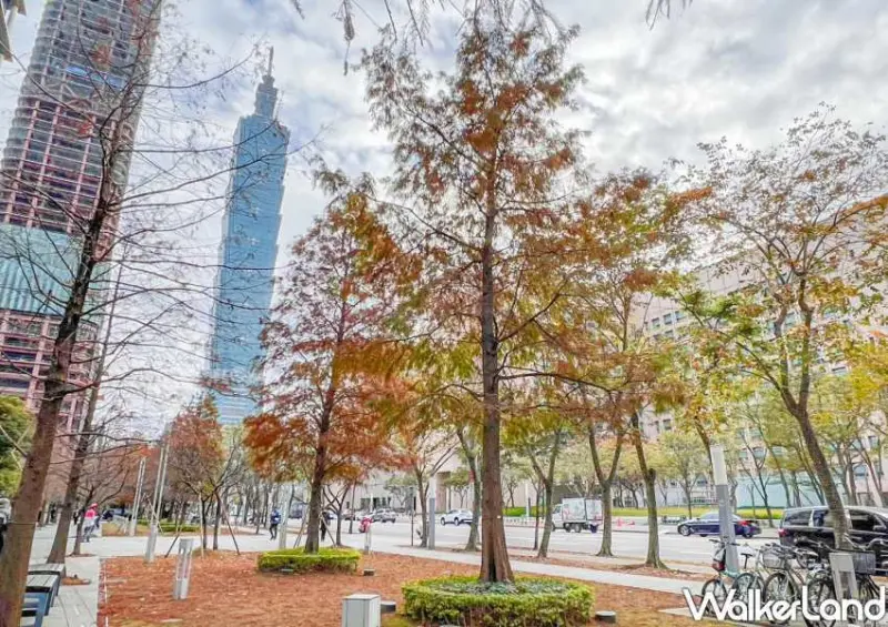 信義區「星巴克落羽松門市」 / WalkerLand窩客島整理提供 未經許可不可轉載