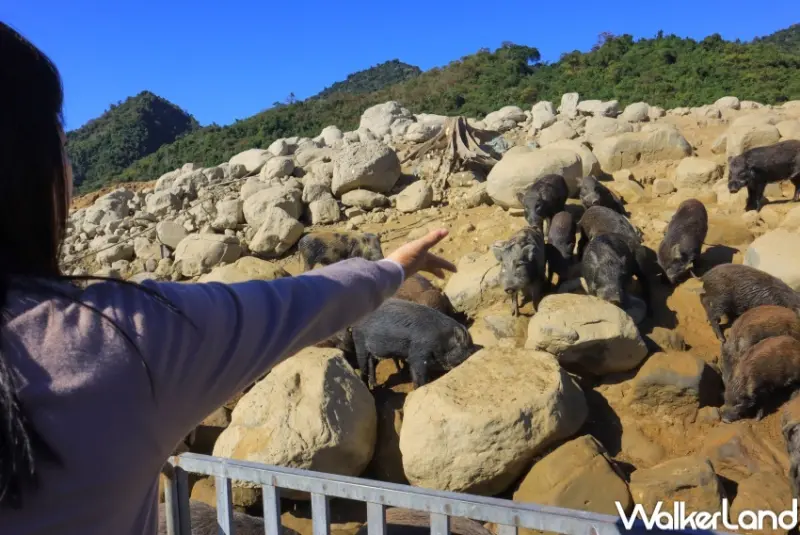 11個台南隱藏版景點 / WalkerLand窩客島提供 未經許可，不得轉載