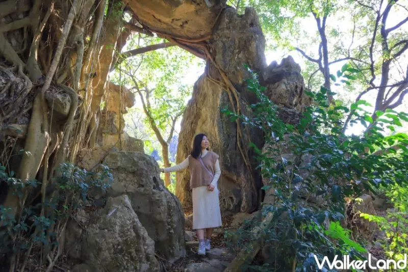 11個台南隱藏版景點 / WalkerLand窩客島提供 未經許可，不得轉載