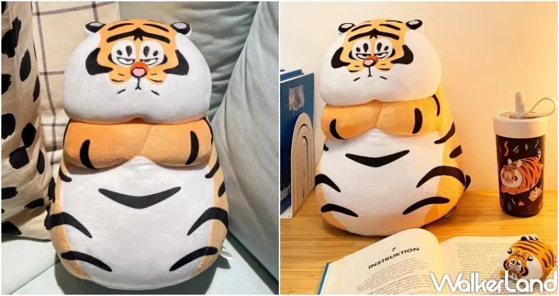 我不是胖虎 / WalkerLand窩客島整理提供 未經許可，不得轉載