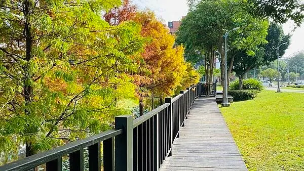 搭捷運就到北投落羽松秘境 #奇岩一號公園 / WalkerLand窩客島整理提供 未經許可不可轉載