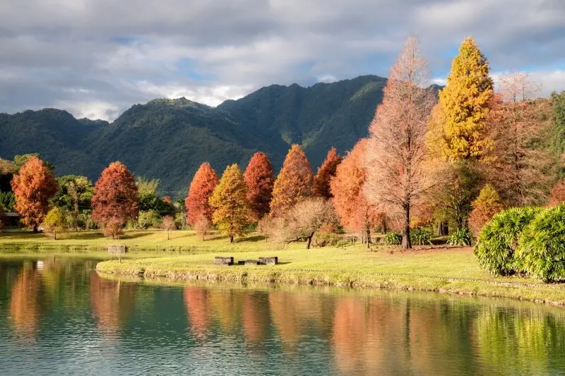  蜊埤湖落羽松/ WalkerLand窩客島整理提供 未經許可不可轉載