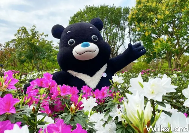 大安森林公園「2023台北杜鵑花季」 / WalkerLand窩客島整理提供 未經許可不可轉載