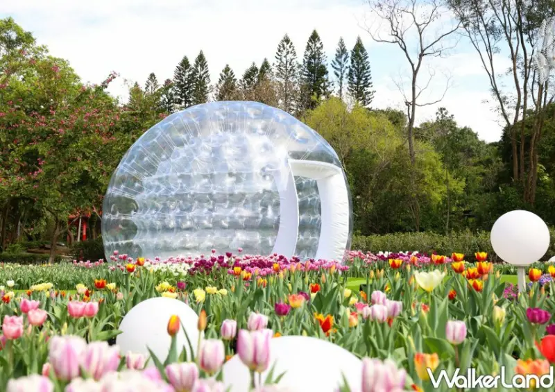 2023士林官邸鬱金香展/ WalkerLand窩客島整理提供 未經許可不可轉載