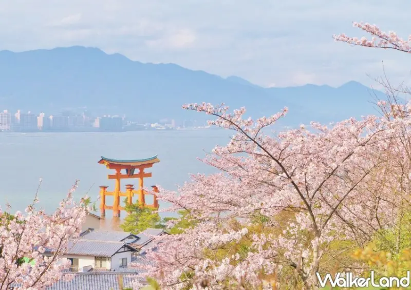 228連假日本特價機票/ WalkerLand窩客島整理提供 未經許可不可轉載