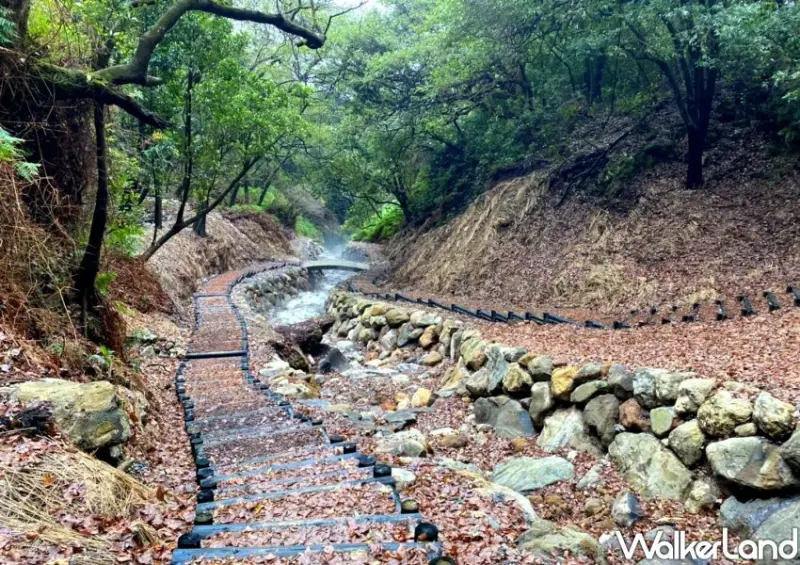 陽明山紫明溪步道 / WalkerLand窩客島整理提供 未經許可不可轉載