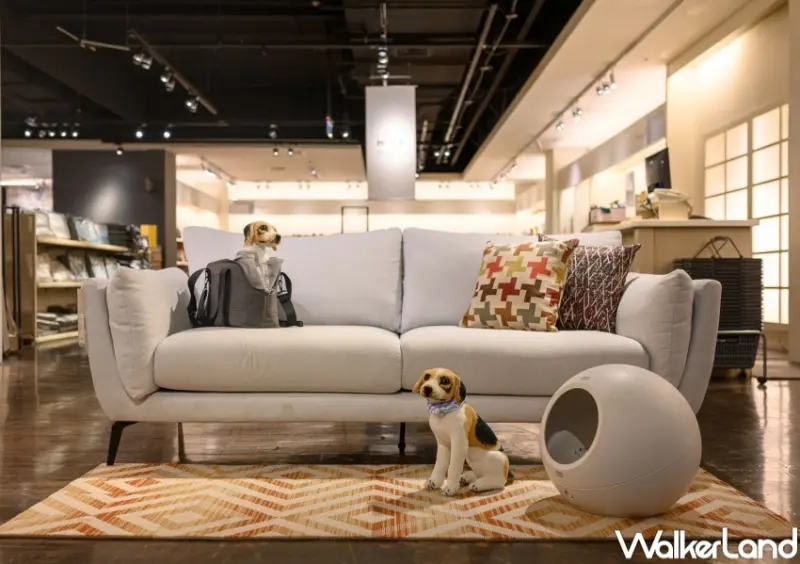 HOLA Outlet中壢店 / WalkerLand窩客島整理提供 未經許可，不得轉載