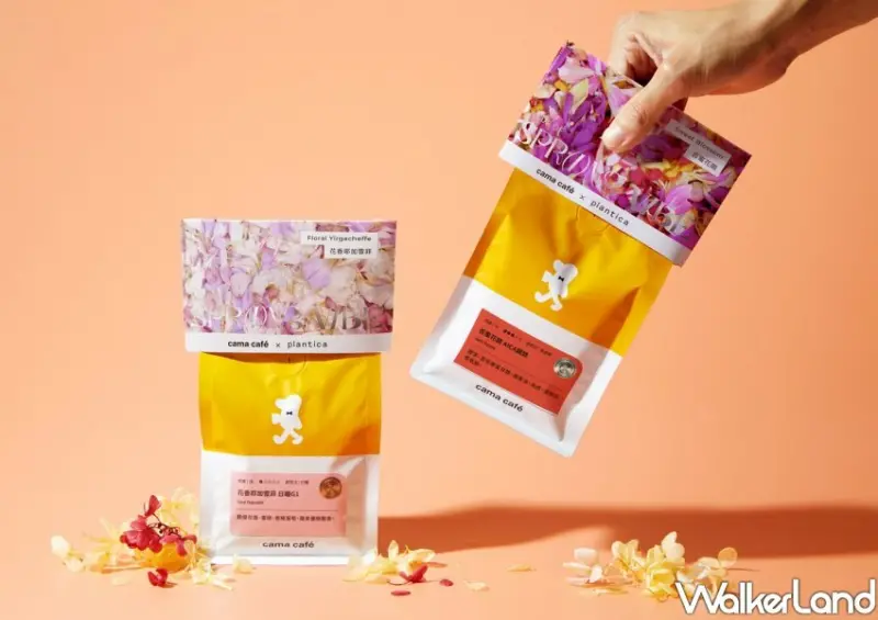 cama café x plantica以「花咖 a cup of spring vibe」 / WalkerLand窩客島整理提供 未經許可不可轉載