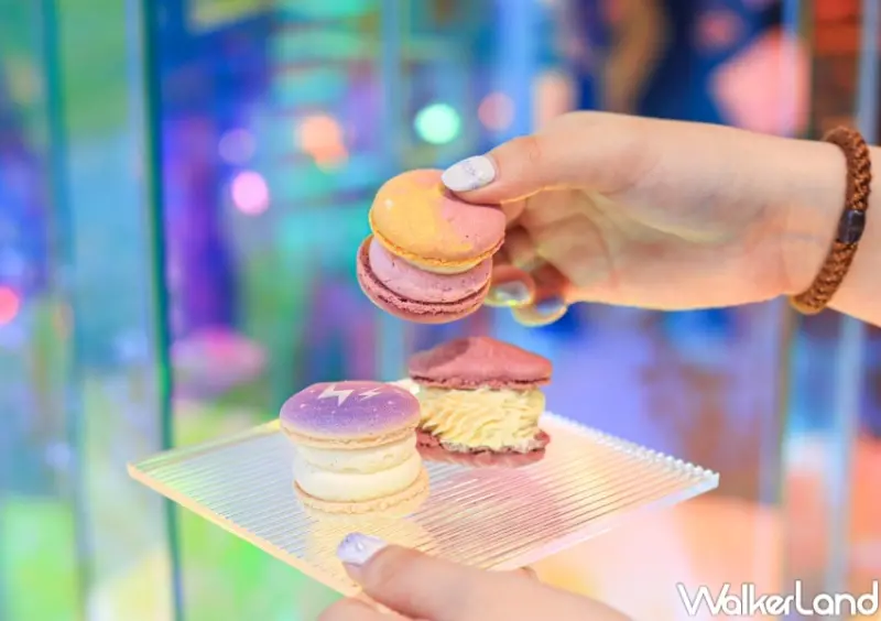 OPPO大人的摺學屋 / WalkerLand窩客島提供 未經許可，不得轉載