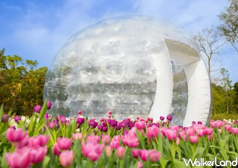 2023士林官邸鬱金香展/ WalkerLand窩客島整理提供 未經許可不可轉載