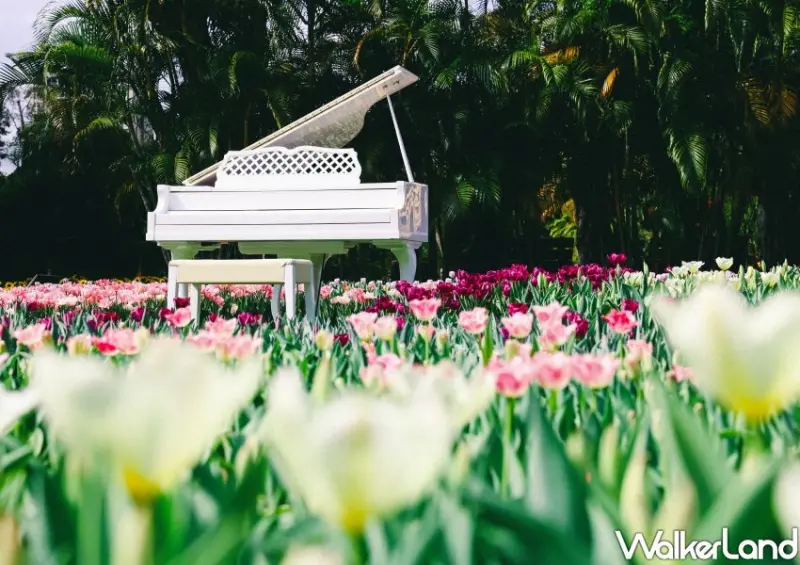 2023士林官邸鬱金香展/ WalkerLand窩客島整理提供 未經許可不可轉載