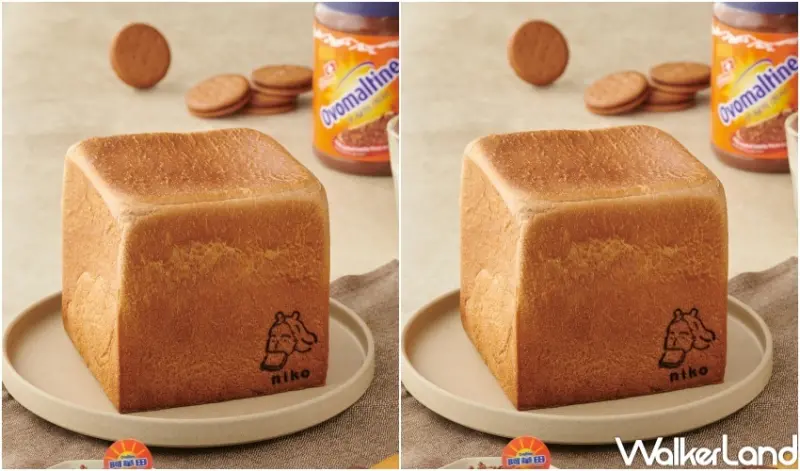 niko bakery日香 麥芽可可美肌生吐司 / WalkerLand窩客島提供 未經許可，不得轉載