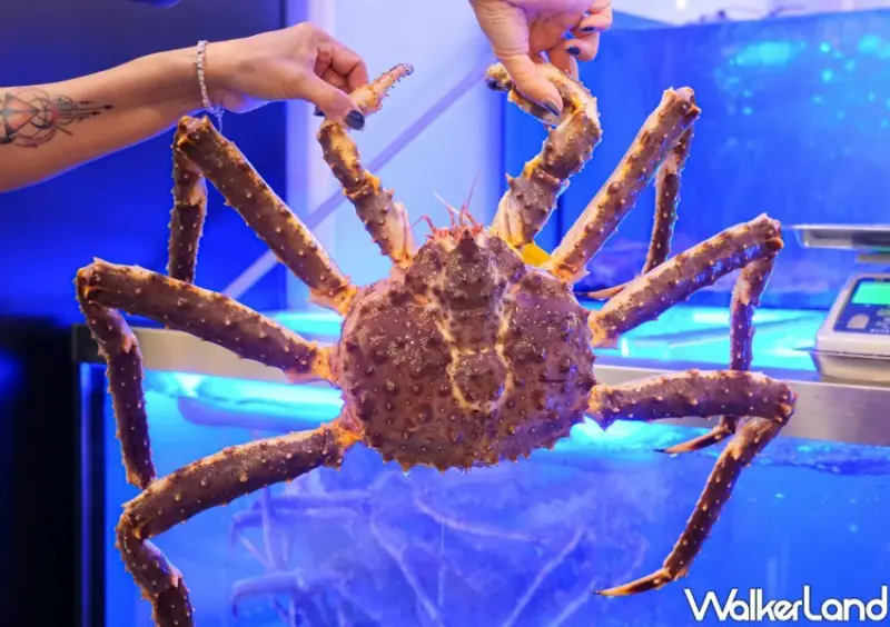 內湖美食推薦「澎派海鮮餐廳」 / WalkerLand窩客島整理提供 未經許可不可轉載