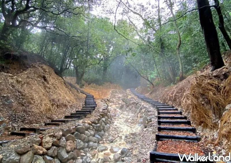 陽明山紫明溪步道 / WalkerLand窩客島整理提供 未經許可不可轉載
