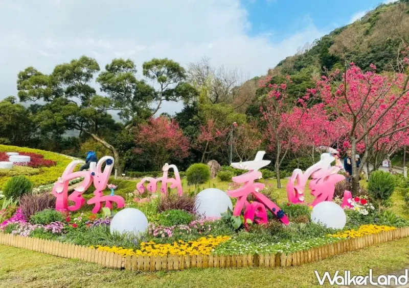2023陽明山花季/ WalkerLand窩客島整理提供 未經許可不可轉載