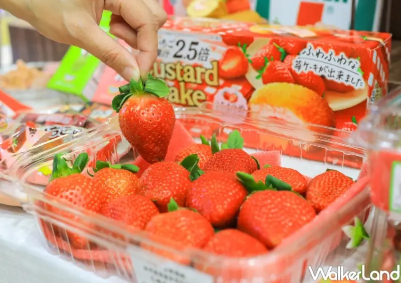 7-ELEVEN草莓季商品 / WalkerLand窩客島提供 未經許可，不得轉載