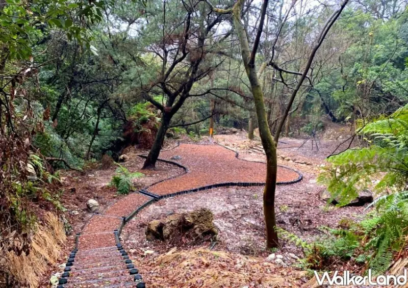 陽明山紫明溪步道 / WalkerLand窩客島整理提供 未經許可不可轉載