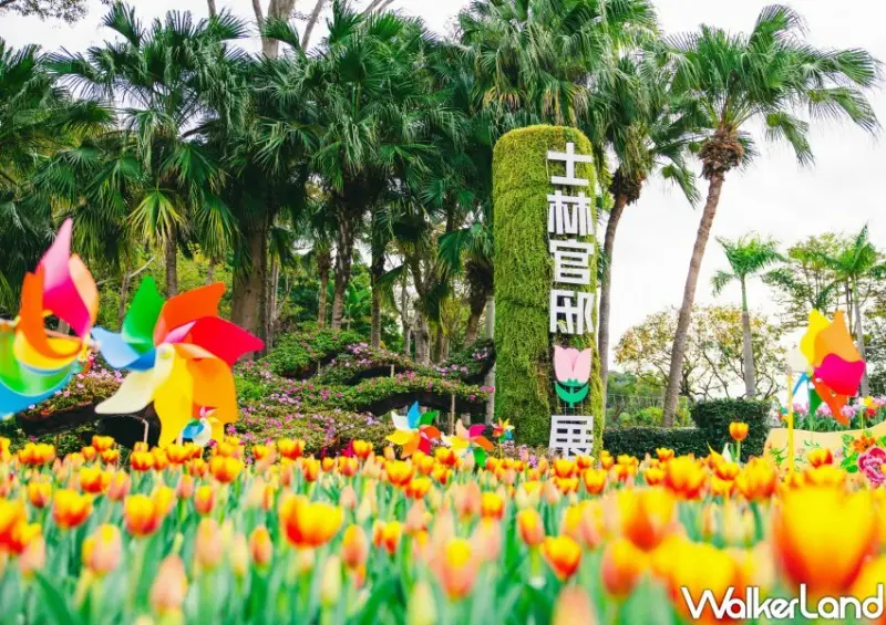 2023士林官邸鬱金香展/ WalkerLand窩客島整理提供 未經許可不可轉載