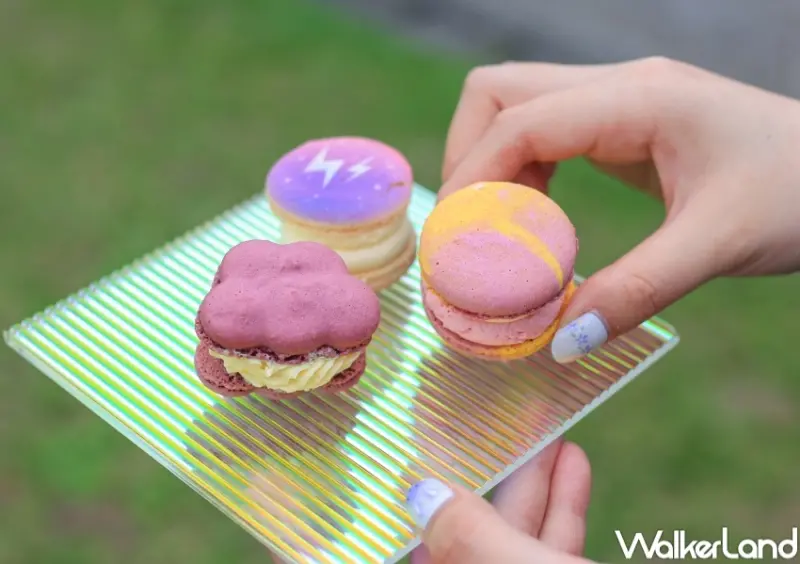 OPPO大人的摺學屋 / WalkerLand窩客島提供 未經許可，不得轉載